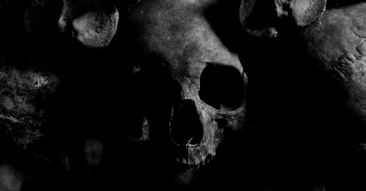 Terrifying Thrills Await: Top Games Like Evil Within 2 for Horror Fans 4 close up photo of skull